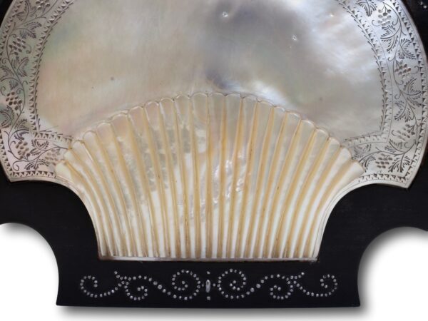 Close up of the shell on the Coromandel and Mother of Pearl Jewellery Box Briggs