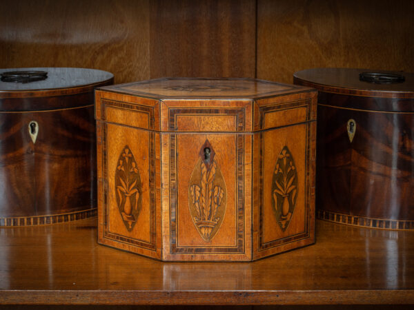 Antique Harewood Tea Caddy in a decorative setting