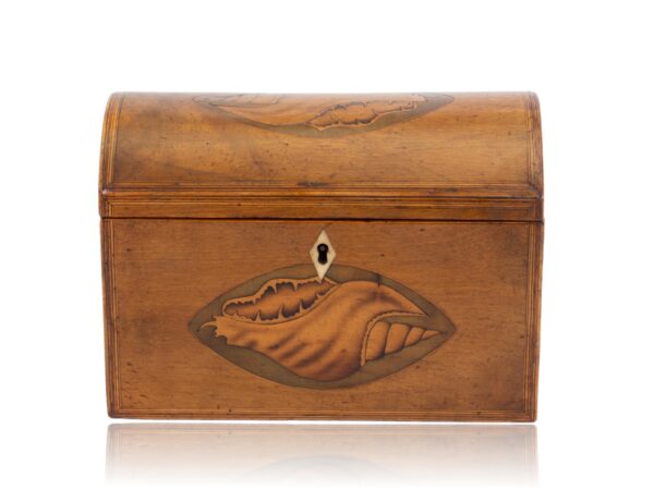 Front of the Antique Satinwood Tea Caddy