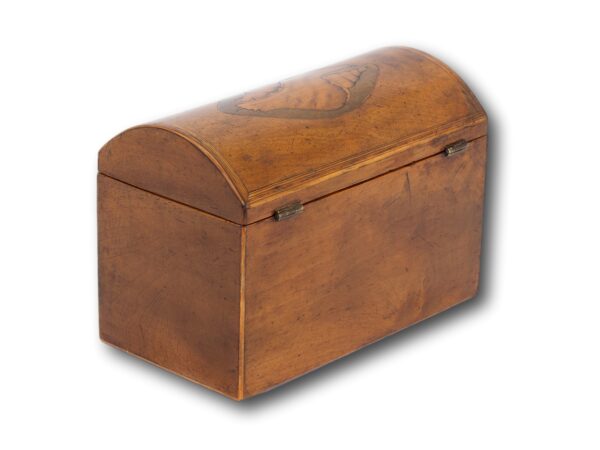 Rear overview of the Antique Satinwood Tea Caddy