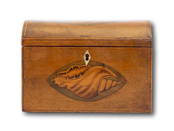 Front of the Antique Satinwood Tea Caddy