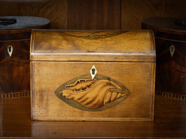 Front of the Antique Satinwood Tea Caddy in a decorative setting