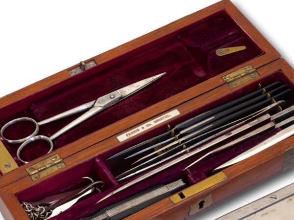 Close up of the tools in the Mahogany Travelling Field Surgeons Box