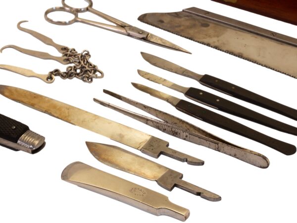 Close up of the tools in the Mahogany Travelling Field Surgeons Box