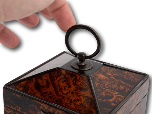 Close up of the ring handle on the Mulberry Tea Caddy