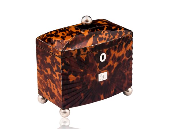 Front overview of the Starburst Pressed Tortoiseshell Tea Caddy