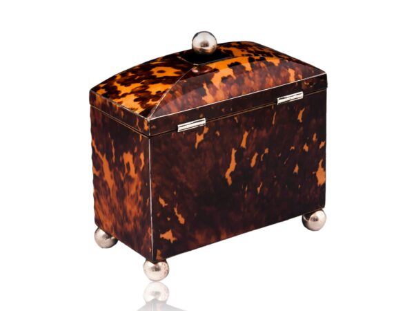 Rear overview of the Starburst Pressed Tortoiseshell Tea Caddy