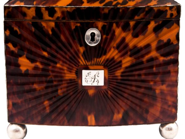 Close up of the front of the Starburst Pressed Tortoiseshell Tea Caddy