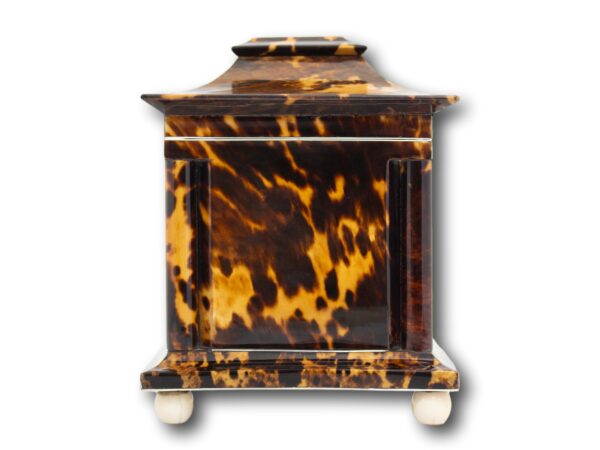 Side of the Tortoiseshell and Mother of Pearl Tea Caddy