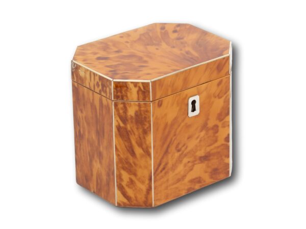 Front overview of the Blonde Tortoiseshell Tea Caddy