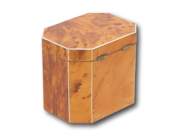 Rear overview of the Blonde Tortoiseshell Tea Caddy