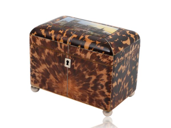 Front overview of the Tortoiseshell London Houses of Parliament Tea Caddy