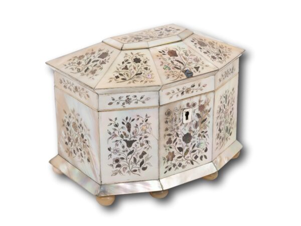 Front overview of the Mother of Pearl Hexagonal Tea Caddy