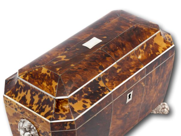 Top of the Blonde Tortoiseshell Tea Chest