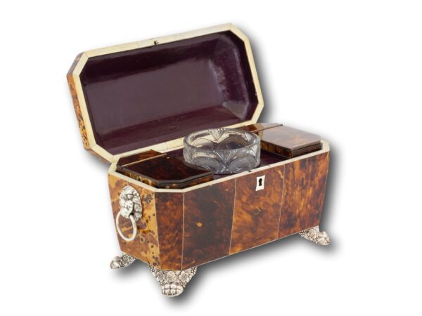 Front overview of the Blonde Tortoiseshell Tea Chest with the lid up