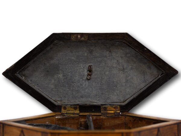 Close up of the internal lid of the Hexagonal Satinwood Tea Caddy