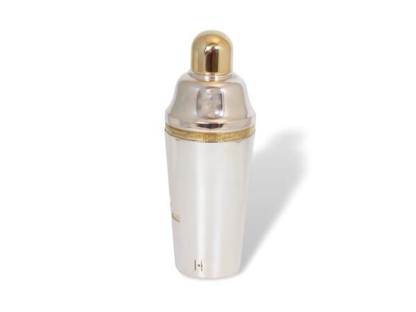 Overview of the Tell Me How Art Deco Cocktail Shaker