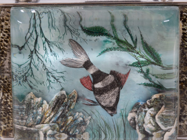 Close up of the McMurdo Aquarium Table Lighter aquarium scene