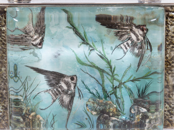 Close up of the McMurdo Aquarium Table Lighter aquarium scene