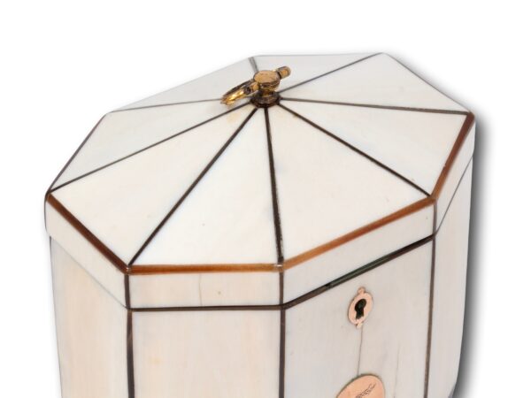 Top of the Antique Ivory Tent Top Tea Caddy