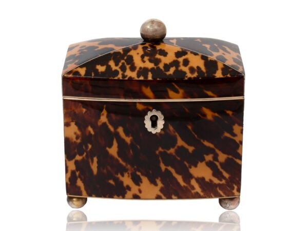 Front of the Miniature Bow Fronted Tortoiseshell Tea Caddy