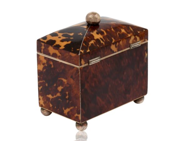 Rear overview of the Miniature Bow Fronted Tortoiseshell Tea Caddy