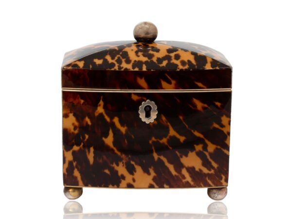 Front of the Miniature Bow Fronted Tortoiseshell Tea Caddy