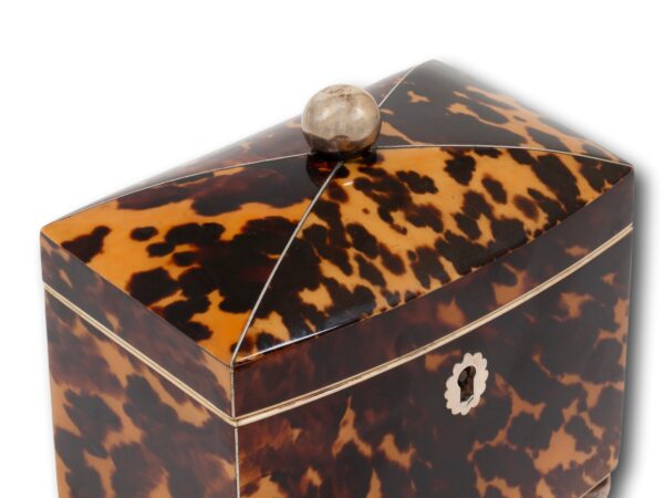 Top of the Miniature Bow Fronted Tortoiseshell Tea Caddy