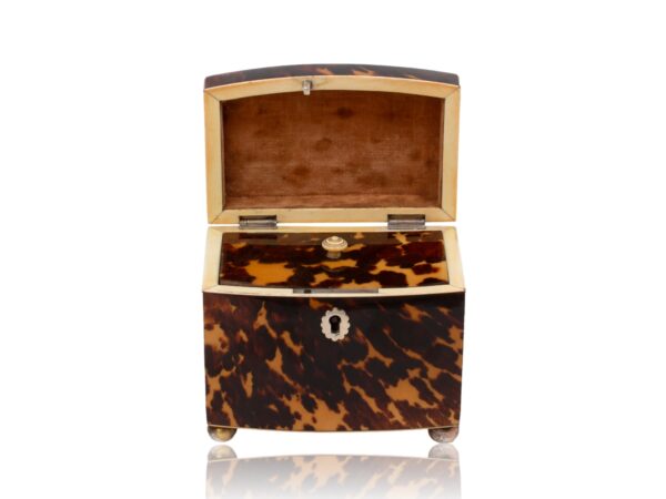 Front of the Miniature Bow Fronted Tortoiseshell Tea Caddy with the lid up
