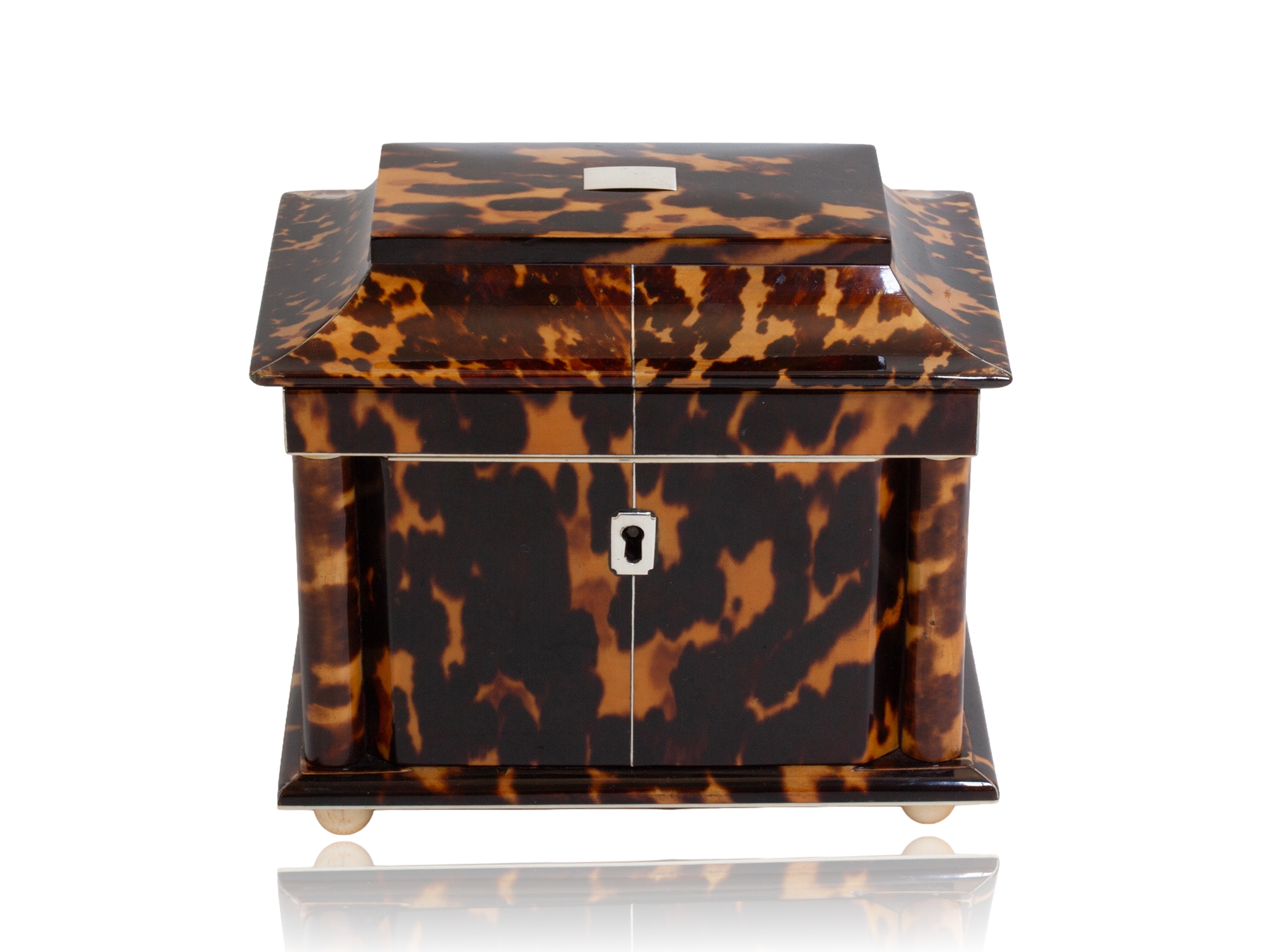Tortoiseshell tea caddy front profile