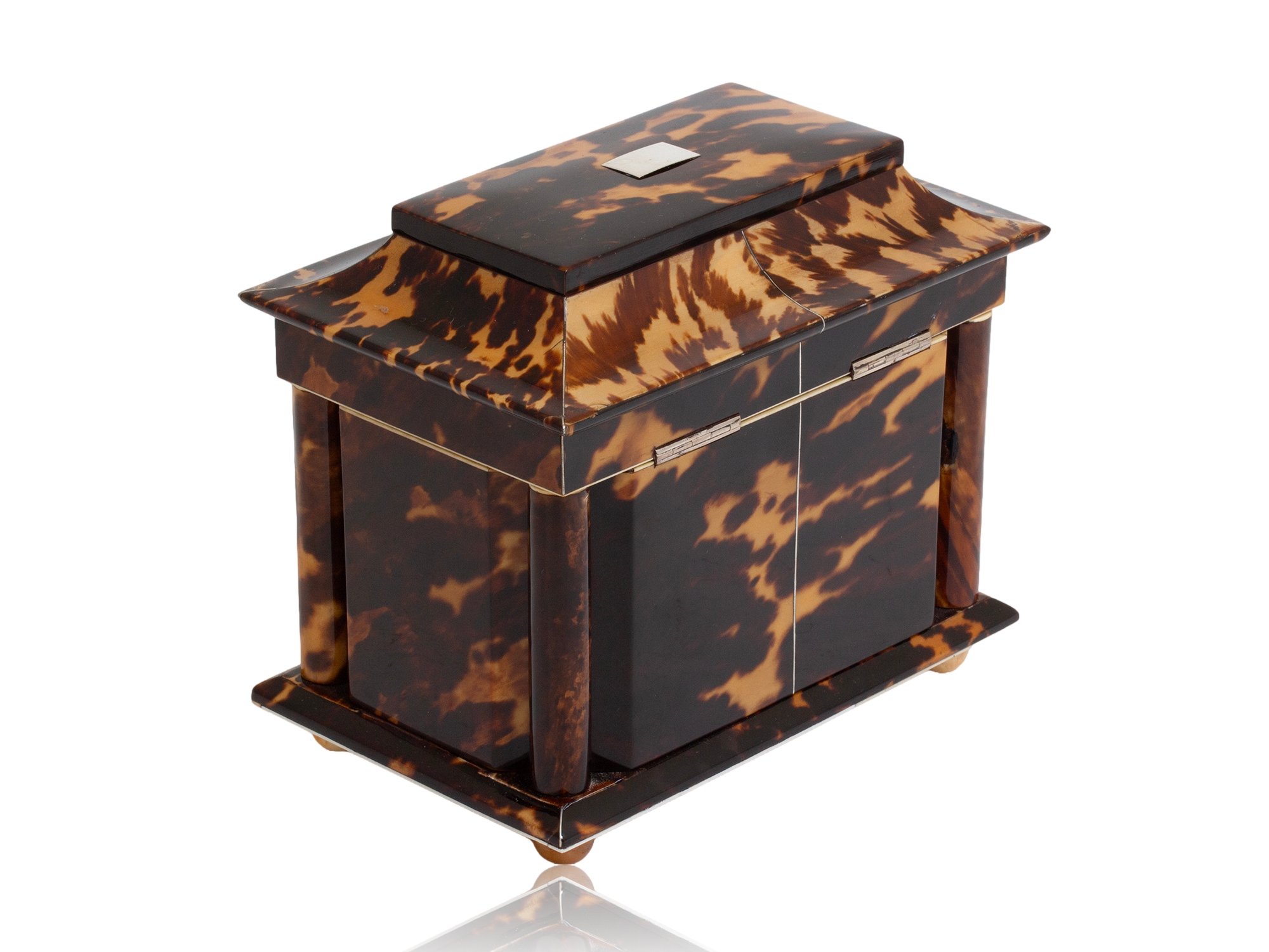 Tortoiseshell tea caddy rear angled profile