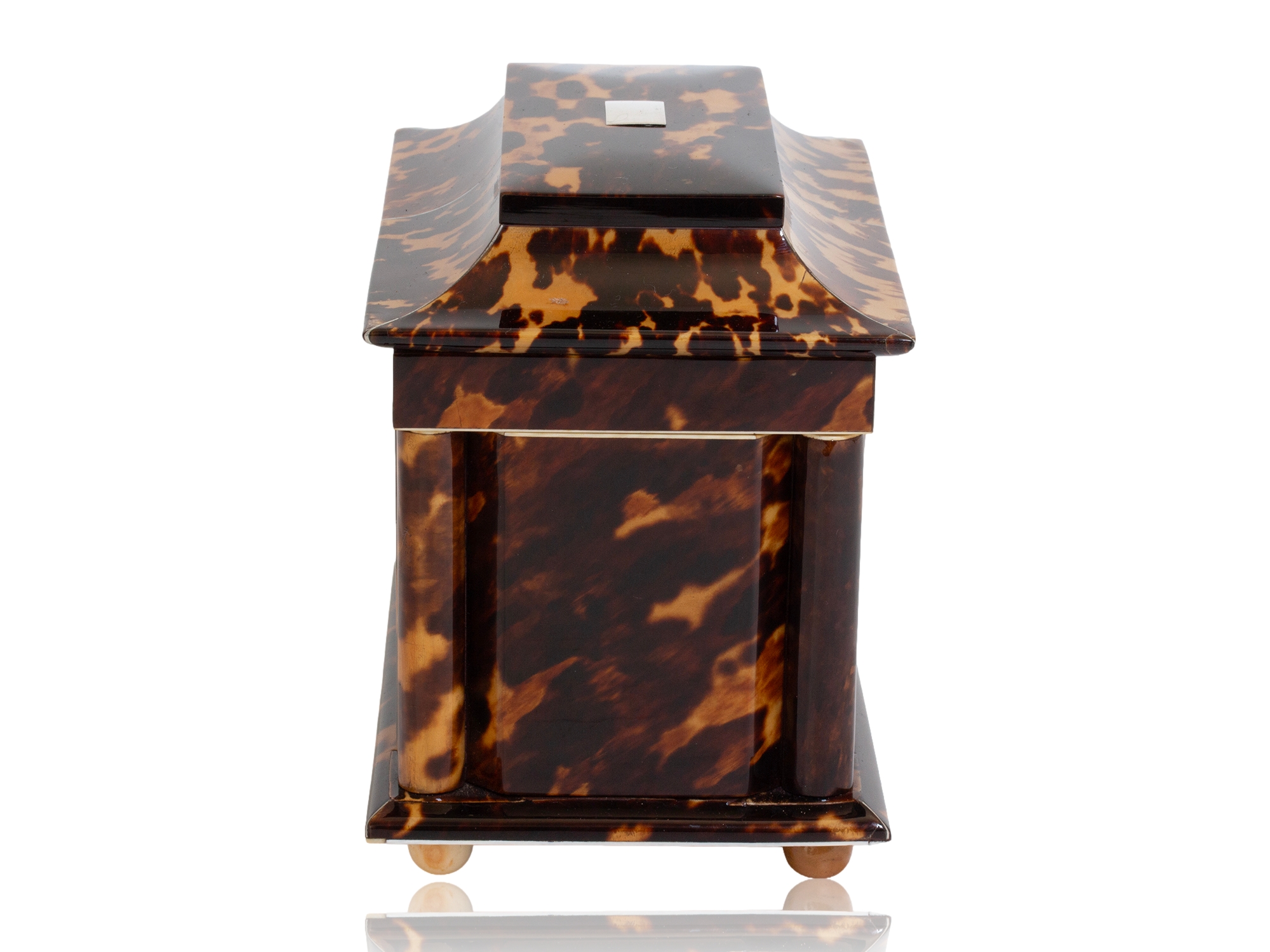 Tortoiseshell tea caddy side profile
