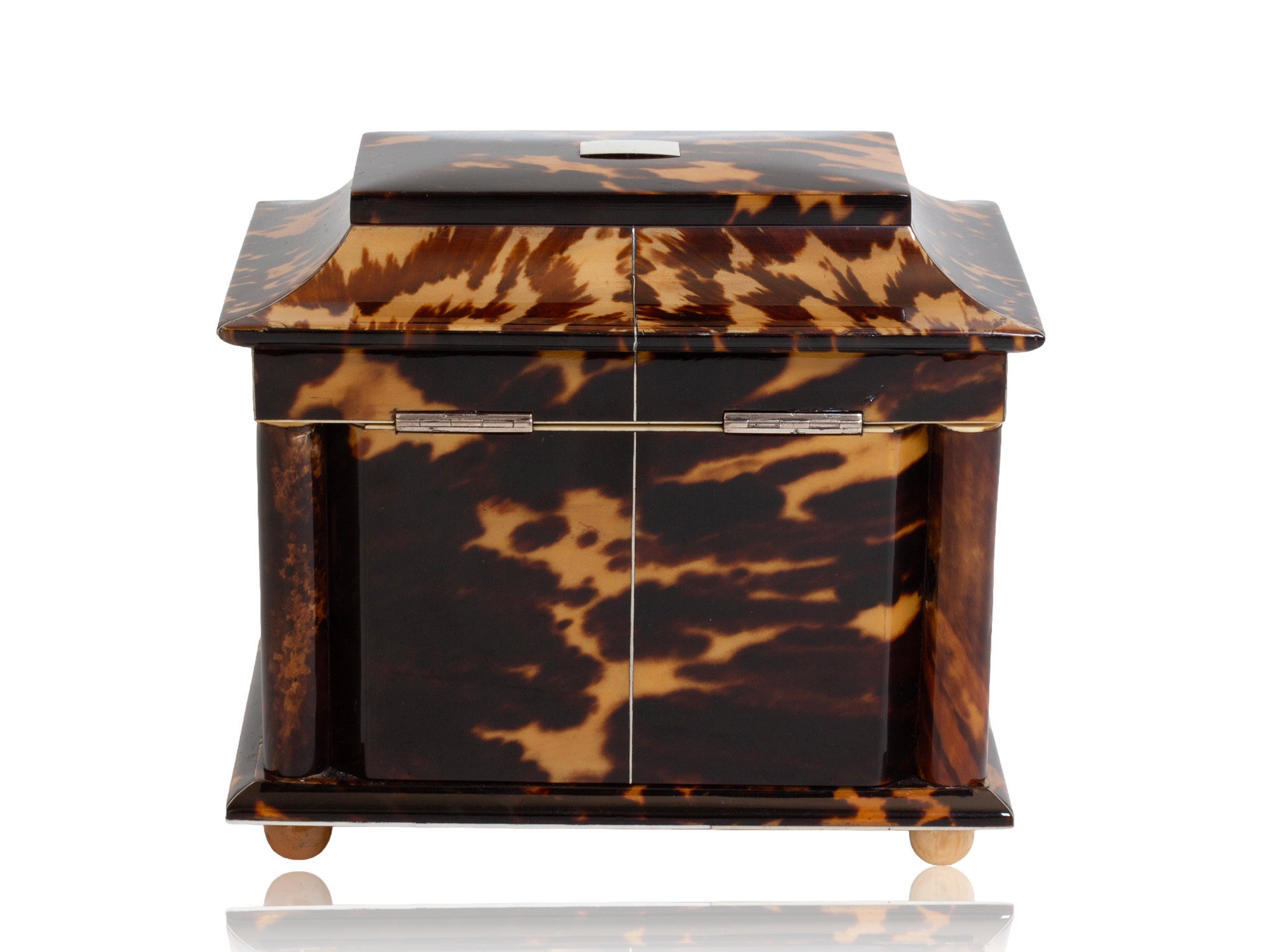 Tortoiseshell tea caddy rear profile