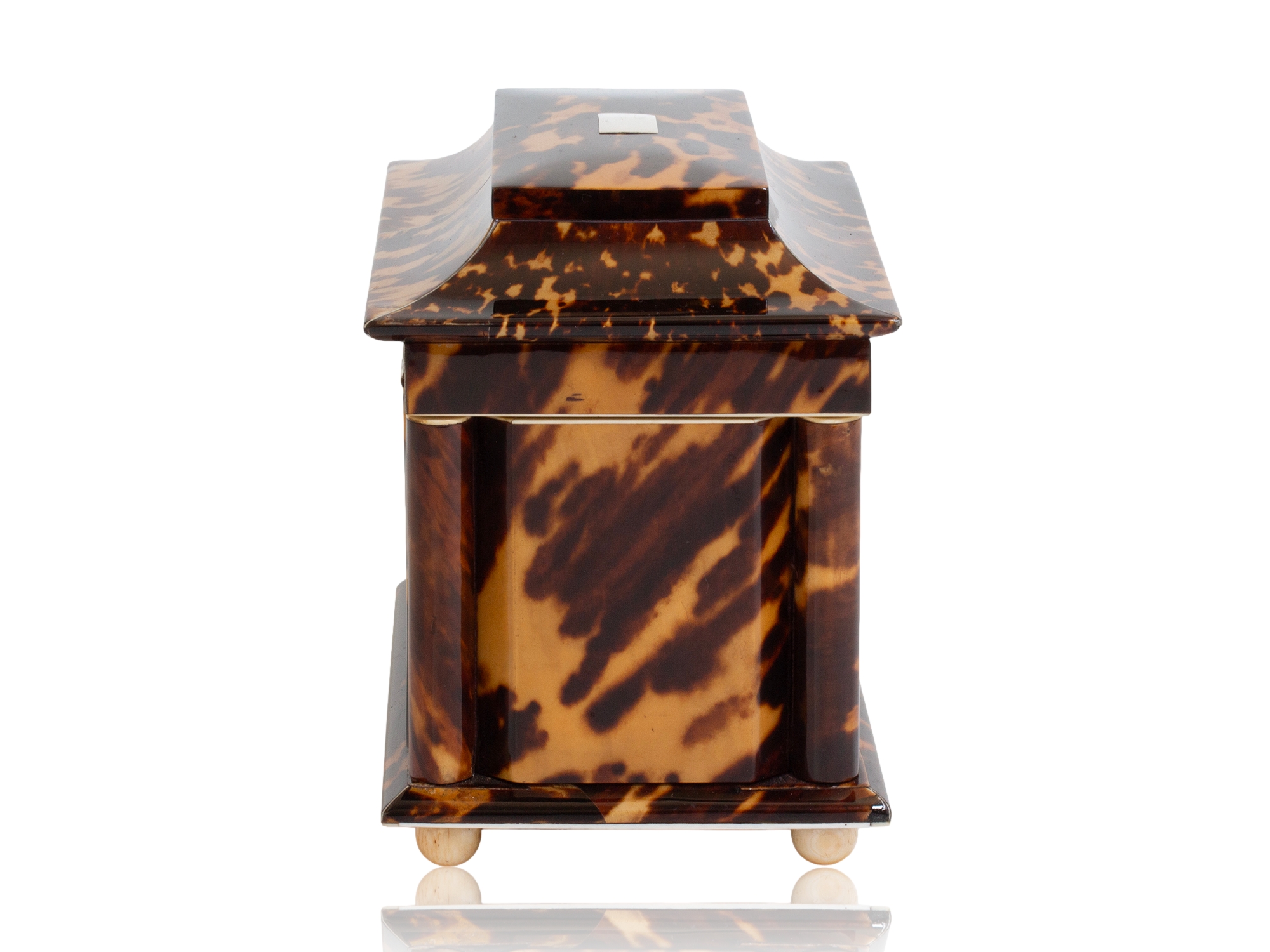 Tortoiseshell tea caddy side profile